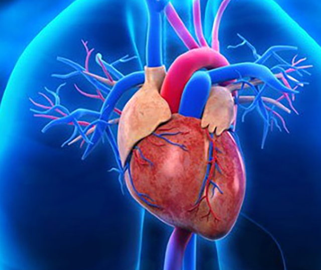 Specialite_cardiologie